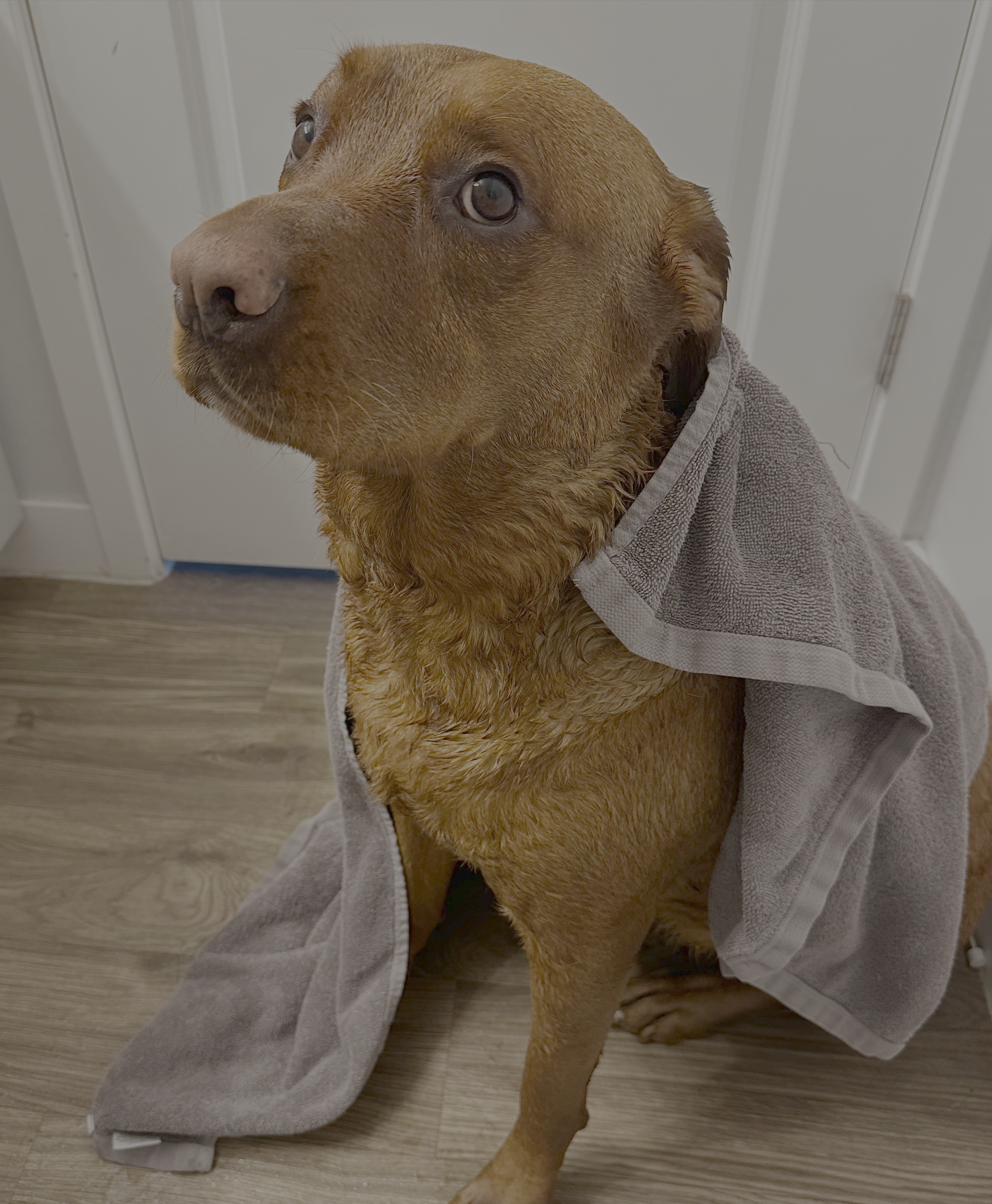 Petra just had bath